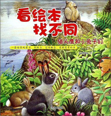 看绘本找不同:猫头鹰和小兔子们 
看绘本找不同:猫头鹰和小兔子们