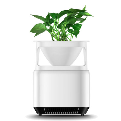 Desktop Micro Ecological Purifier Air Purifier Cleaner Sterilizer Household Negative Ion Generator Formaldehyde Mold Odor Dust Smo
Desktop Micro Ecological Purifier Air Purifier Cleaner Sterilizer Household Negative Ion Generator Formaldehyde Mold Odor Dust Smo