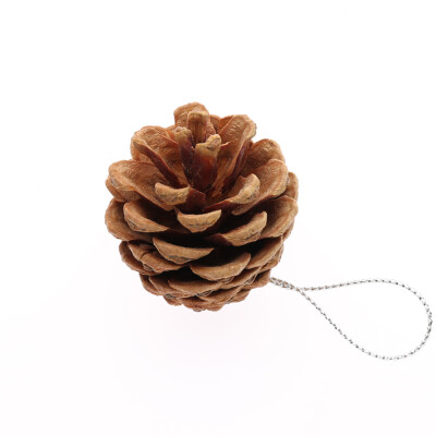 12 Pcs Christmas Tree Hanging Ornament Pine Cones Pinecone Balls For New Year Holiday Party Decoration Ornament Creative
12 Pcs Christmas Tree Hanging Ornament Pine Cones Pinecone Balls For New Year Holiday Party Decoration Ornament Creative