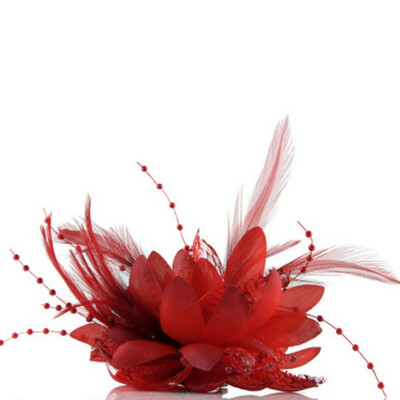 Hot Flower Feather Bead Corsage Hair Clips Fascinator Bridal Hairband Brooch Pin
Hot Flower Feather Bead Corsage Hair Clips Fascinator Bridal Hairband Brooch Pin