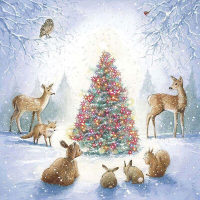 Toponeto Christmas Diamond Rhinestone Pasted Embroidery Painting Cross Stitch Home Decor
Toponeto Christmas Diamond Rhinestone Pasted Embroidery Painting Cross Stitch Home Decor