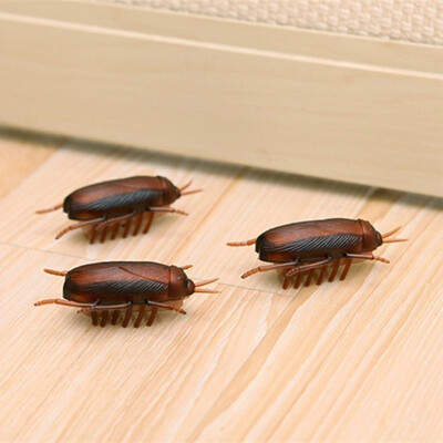 Electronic Cat Toy with Battery Cockroach Interactive Training Toy Tricky Toy Thriller Toy Prank toy
Electronic Cat Toy with Battery Cockroach Interactive Training Toy Tricky Toy Thriller Toy Prank toy
