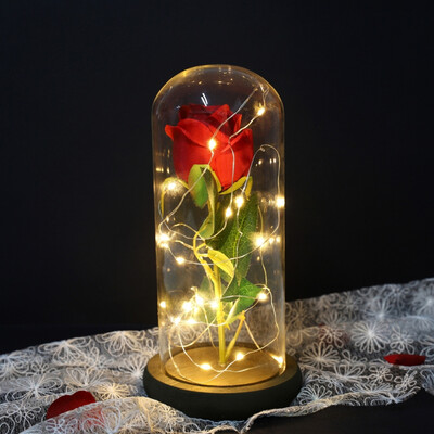 LED Beauty Rose&Beast Battery Powered Red Flower String Light Desk Lamp Romantic Valentine\s Day Birthday Gift Decoration
LED Beauty Rose&Beast Battery Powered Red Flower String Light Desk Lamp Romantic Valentine\s Day Birthday Gift Decoration