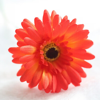 1Pcs fake artificial flowers African chrysanthemum flowers wedding flower silk flower Home Decoration Accessories flores
1Pcs fake artificial flowers African chrysanthemum flowers wedding flower silk flower Home Decoration Accessories flores