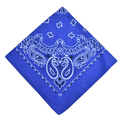 Men Women Square Scarf Paisley Bandana Hair Band Neckerchief Hip Hop Kerchief Unisex Headwear
Men Women Square Scarf Paisley Bandana Hair Band Neckerchief Hip Hop Kerchief Unisex Headwear