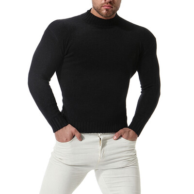 Mens Autumn Solid Color Slim Fit Sweater Tops High Collar Long Sleeve Knitted 
Mens Autumn Solid Color Slim Fit Sweater Tops High Collar Long Sleeve Knitted