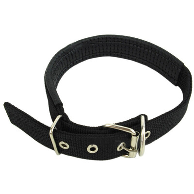 Soft Liner Nylon Padded Dog Pet Collars Neck Protection Safe Collar For Small Medium Large Dogs High Quality
Soft Liner Nylon Padded Dog Pet Collars Neck Protection Safe Collar For Small Medium Large Dogs High Quality