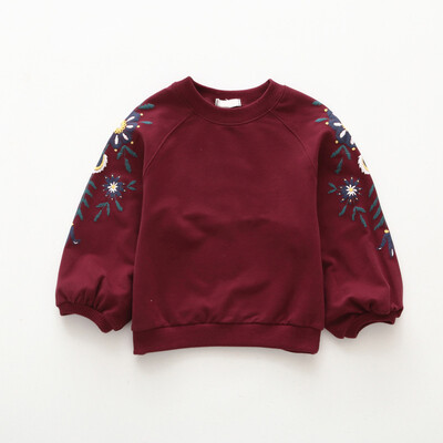 New Girls Sleeves Printed Clothes Childrens Baby Girl Bottoming Shirts And Jackets Fashion Sweet Clothes
New Girls Sleeves Printed Clothes Childrens Baby Girl Bottoming Shirts And Jackets Fashion Sweet Clothes