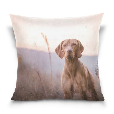ALAZA Throw Pillow Case Decorative Pillow Covers 16 X 16 inch Vizsla Picture Pattern Pillowcase
ALAZA Throw Pillow Case Decorative Pillow Covers 16 X 16 inch Vizsla Picture Pattern Pillowcase