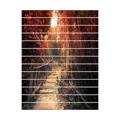 Creative 3D DIY Maple Trail Wall Stickers Stair Decoration Ceramic Tiles Pattern for Room Home Decor Floor Sticker
Creative 3D DIY Maple Trail Wall Stickers Stair Decoration Ceramic Tiles Pattern for Room Home Decor Floor Sticker