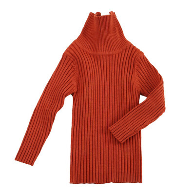 Fashion Kids Sweaters For Winter Baby Clothes Autumn Boys Girls Turtleneck Sweaters Knitted Bottoming Boys Sweater 
Fashion Kids Sweaters For Winter Baby Clothes Autumn Boys Girls Turtleneck Sweaters Knitted Bottoming Boys Sweater