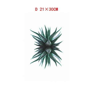 Gobestart Leaf Plant Leaf Tortoise Decorative Canvas Painting Childrens Room Hanging Painting Spray Painting 
Gobestart Leaf Plant Leaf Tortoise Decorative Canvas Painting Childrens Room Hanging Painting Spray Painting