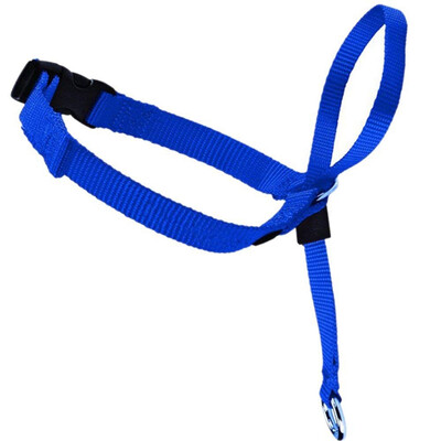 Pet Headcollar for Dogs Gentle Control Training Collars No-Pull Painless Head Leash Collar
Pet Headcollar for Dogs Gentle Control Training Collars No-Pull Painless Head Leash Collar