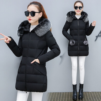 Tuong cotton-padded women winter new style Korean fashion hat in the long down of the coat women
Tuong cotton-padded women winter new style Korean fashion hat in the long down of the coat women