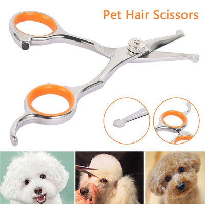 Professional Animal Dog Pet Scissors Hairdressing Curved Scissors Shears Barber Hair Cutting Clipper Scissors
Professional Animal Dog Pet Scissors Hairdressing Curved Scissors Shears Barber Hair Cutting Clipper Scissors