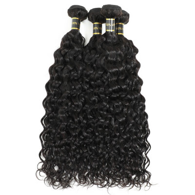 Amazing Star Human Hair Water Wave Bundles Curly Hair 4 Bundles Brazilian Virgin Hair