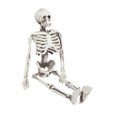 Willstar 1PC 58" Plastic Jointed Human Skull Bone Skeleton Halloween Decoration Party Scary Prop
Willstar 1PC 58" Plastic Jointed Human Skull Bone Skeleton Halloween Decoration Party Scary Prop