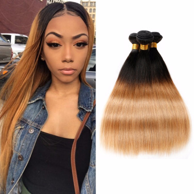 Nami Hair Ombre Color T1B27 Brazilian Straight Hair Bundles 3 Pieces 100 Human Hair Extensions
Nami Hair Ombre Color T1B27 Brazilian Straight Hair Bundles 3 Pieces 100 Human Hair Extensions
