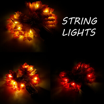 Willstar 4M 40 LED String Fairy Lights Battery Home Twinkle Decor for PartyChristmas Garden
Willstar 4M 40 LED String Fairy Lights Battery Home Twinkle Decor for PartyChristmas Garden