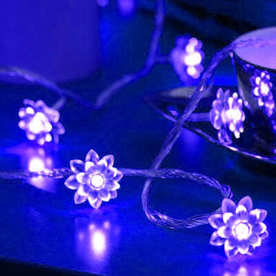 Willstar Solar Powered Garden Fairy String Lights 50 LED Flower Decor Lamp Waterproof
Willstar Solar Powered Garden Fairy String Lights 50 LED Flower Decor Lamp Waterproof