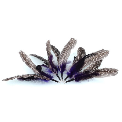 5PCS Pet for Bird feather Wand Cat Toy Replacement Head Interactive Toys Refill Home gatos Gift
5PCS Pet for Bird feather Wand Cat Toy Replacement Head Interactive Toys Refill Home gatos Gift