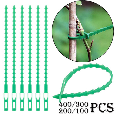 400300200100 Pcs Reusable Adjustable Plastic Garden Plant Cable Ties Tree Climbing Support
400300200100 Pcs Reusable Adjustable Plastic Garden Plant Cable Ties Tree Climbing Support