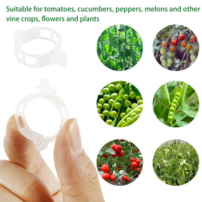 Willstar 200 Pcs Veggie Garden Plant Support Clips for Trellis Twine Tomato Greenhouse
Willstar 200 Pcs Veggie Garden Plant Support Clips for Trellis Twine Tomato Greenhouse