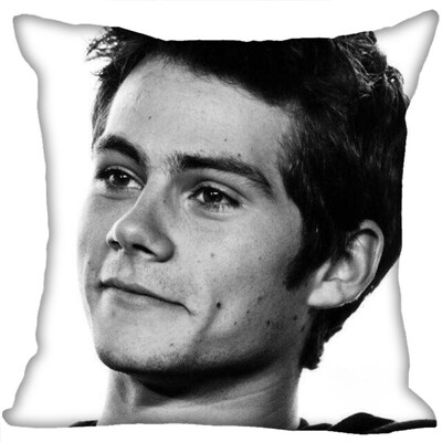 Dylan Pillow Cover Bedroom Home Office Decorative Pillowcase Square Zipper Pillow Cases Satin Fabric No Fade
Dylan Pillow Cover Bedroom Home Office Decorative Pillowcase Square Zipper Pillow Cases Satin Fabric No Fade