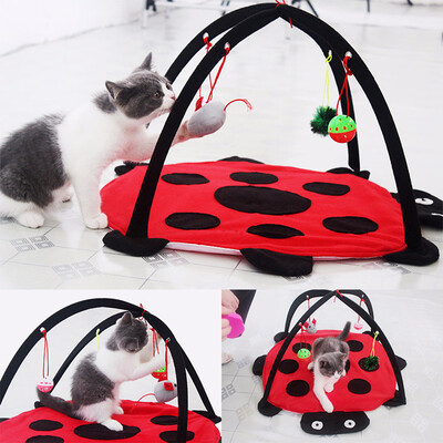 Willstar Pet Cat Play Bed Activity Tent Playing Toy Exercise Kitten Pad Mat Bells House
Willstar Pet Cat Play Bed Activity Tent Playing Toy Exercise Kitten Pad Mat Bells House