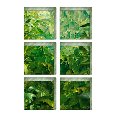 6 PcsSet PVC Bathtub Stickers 3D DIY Tub Appliques Decals Vivid Anti Slip Wall Sticker Safety Shower Bath 
6 PcsSet PVC Bathtub Stickers 3D DIY Tub Appliques Decals Vivid Anti Slip Wall Sticker Safety Shower Bath