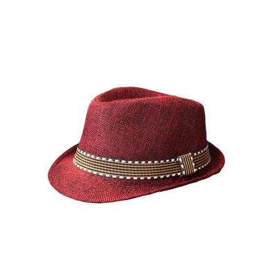 New Fashion Kids Boy Girl Unisex Fedora Hat Contrast Trim Cool Jazz Hat Trilby Cap Chapeau
New Fashion Kids Boy Girl Unisex Fedora Hat Contrast Trim Cool Jazz Hat Trilby Cap Chapeau
