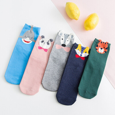 Ladies cartoon socks cotton Japanese cute animal pattern in stockings 5 pairs