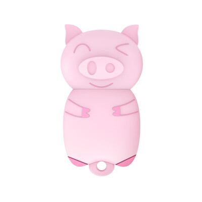 Damai DM 16GB USB20 U disk Bin can PD099 series pink creative cute girl couple cartoon student mini USB flash drive