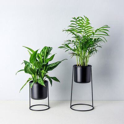Set of 2 Metal Desktop Planter Succulent Cactus Air Plant Flower Pots Holder with High Framework Stands Desktop Decoration--White
Set of 2 Metal Desktop Planter Succulent Cactus Air Plant Flower Pots Holder with High Framework Stands Desktop Decoration--White
