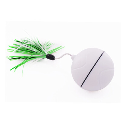 Electronic Rolling Flash Ball USB Charging Pet Ball LED flash rolling cat toys Funny Feather Interactive Cat Toys For Puppy Dog
Electronic Rolling Flash Ball USB Charging Pet Ball LED flash rolling cat toys Funny Feather Interactive Cat Toys For Puppy Dog