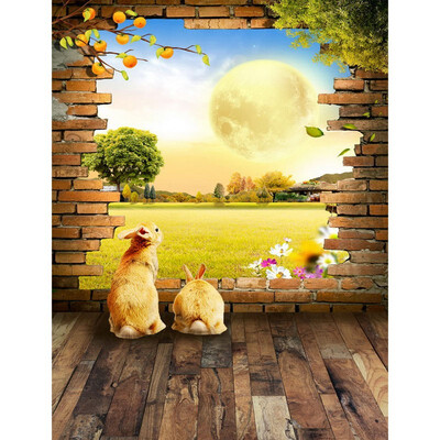 Dream Photo Backdrop 57FT Vinyl Fabric Cloth Digital Printing Photo Background s-2427
Dream Photo Backdrop 57FT Vinyl Fabric Cloth Digital Printing Photo Background s-2427
