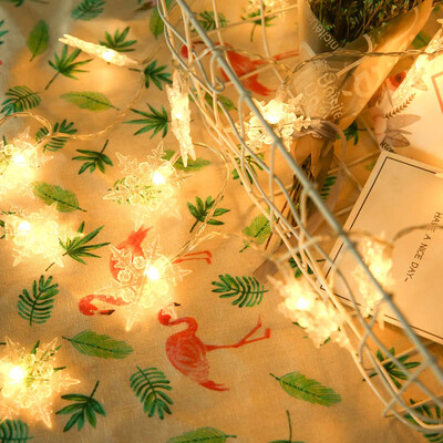 Hexagonal Snowflake Holiday String Lights Christmas Lights LED Decorative Light Total Length 21 Meters with Battery Box
Hexagonal Snowflake Holiday String Lights Christmas Lights LED Decorative Light Total Length 21 Meters with Battery Box