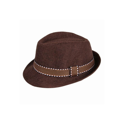 New Fashion Kids Boy Girl Unisex Fedora Hat Contrast Trim Cool Jazz Hat Trilby Cap Chapeau
New Fashion Kids Boy Girl Unisex Fedora Hat Contrast Trim Cool Jazz Hat Trilby Cap Chapeau