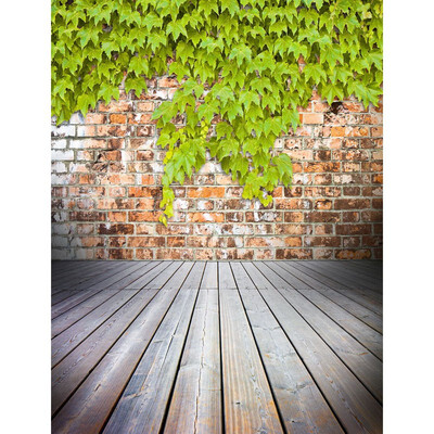 Green Shade Photo Backdrop 57FT Vinyl Fabric Cloth Digital Printing for Kids Birthday Photo Background s-2376
Green Shade Photo Backdrop 57FT Vinyl Fabric Cloth Digital Printing for Kids Birthday Photo Background s-2376