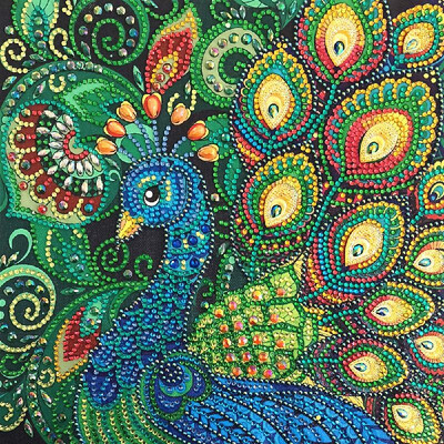 Special Shaped Diamond Painting DIY 5D Partial Drill Cross Stitch Kits Crystal Rhinestone Arts 3040 NO4
Special Shaped Diamond Painting DIY 5D Partial Drill Cross Stitch Kits Crystal Rhinestone Arts 3040 NO4