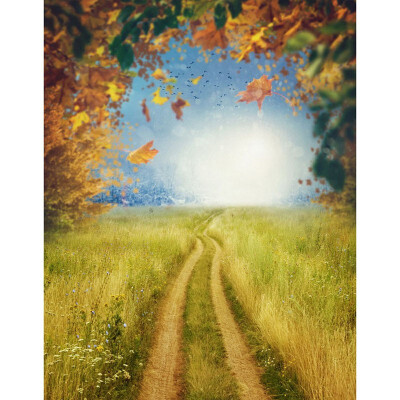 Field Autumn Photo Backdrop 57FT Vinyl Fabric Cloth Digital Printing Photo Background s-2214
Field Autumn Photo Backdrop 57FT Vinyl Fabric Cloth Digital Printing Photo Background s-2214