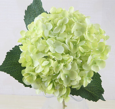 FUNNYBUNNY Artificial Hydrangea Silk Flowers Arrangements Bunch Bridal Bouquet Wedding Bouquet for Home Garden Party Decoration
FUNNYBUNNY Artificial Hydrangea Silk Flowers Arrangements Bunch Bridal Bouquet Wedding Bouquet for Home Garden Party Decoration