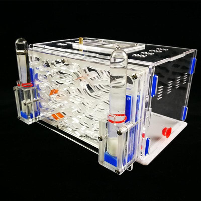 DIY Antgranery Moisture Feeding Area Ant Farm Acryl Insect Villa Pet Advanced Mania For House Ants Birthday Present Gift
DIY Antgranery Moisture Feeding Area Ant Farm Acryl Insect Villa Pet Advanced Mania For House Ants Birthday Present Gift
