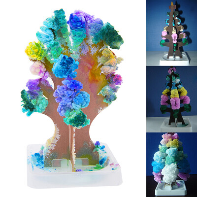 Flowering Paper Trees Childrens Toys Exploring Scientific Family Interactive Creative Gifts
Flowering Paper Trees Childrens Toys Exploring Scientific Family Interactive Creative Gifts