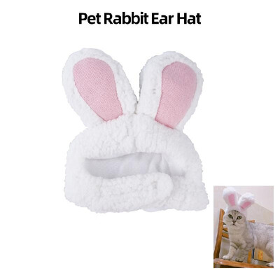 Cute Pet Rabbit Ears Hat for Cat Cosplay Clothes Fancy Pet Bunny Cap Halloween Easter Birthday Photo Shoot Dress for Cat
Cute Pet Rabbit Ears Hat for Cat Cosplay Clothes Fancy Pet Bunny Cap Halloween Easter Birthday Photo Shoot Dress for Cat