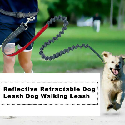 Pet Leashes Dog Leash Reflective Retractable Dog Walking Leash with Waist Belt Dog Training Leash
Pet Leashes Dog Leash Reflective Retractable Dog Walking Leash with Waist Belt Dog Training Leash