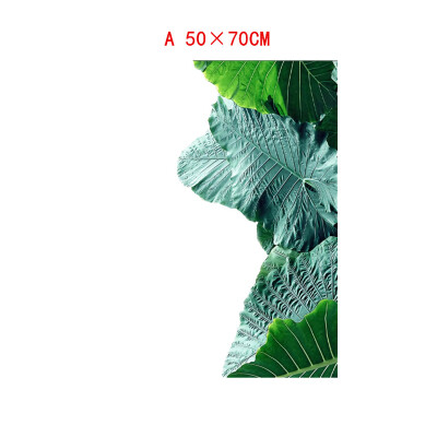 Gotoamei Leaf Plant Leaf Tortoise Decorative Canvas Painting Childrens Room Hanging Painting Spray Painting
Gotoamei Leaf Plant Leaf Tortoise Decorative Canvas Painting Childrens Room Hanging Painting Spray Painting