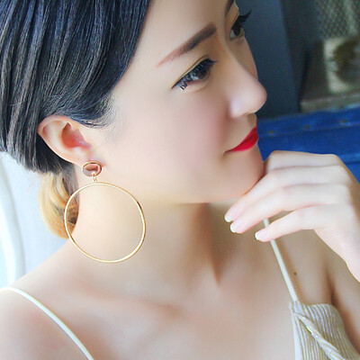 Temperament simple round circle earrings titanium steel fashion ladies earrings