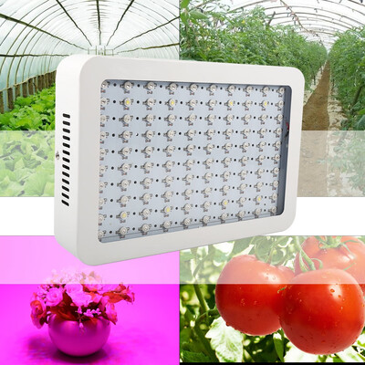 1000W Full Spectrum Hydro LED Grow Light for Medical Plants Veg & Bloom Fruit EU Plug Grow Light Bulb Plant Grow Light
1000W Full Spectrum Hydro LED Grow Light for Medical Plants Veg & Bloom Fruit EU Plug Grow Light Bulb Plant Grow Light