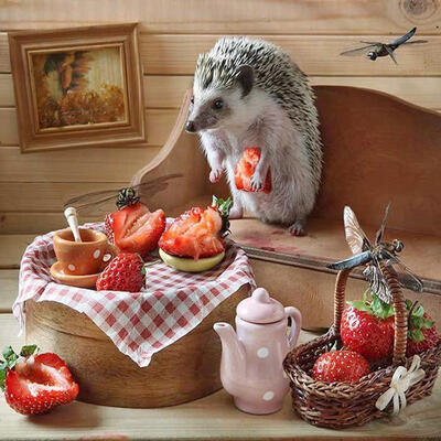 5D DIY Full Drill Diamond Painting Hedgehog Cross Stitch Embroidery Kit